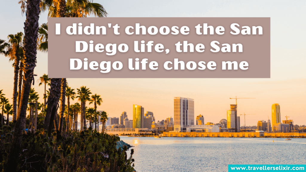 San Diego caption for Instagram - I didn't choose the San Diego life, the San Diego life chose me.
