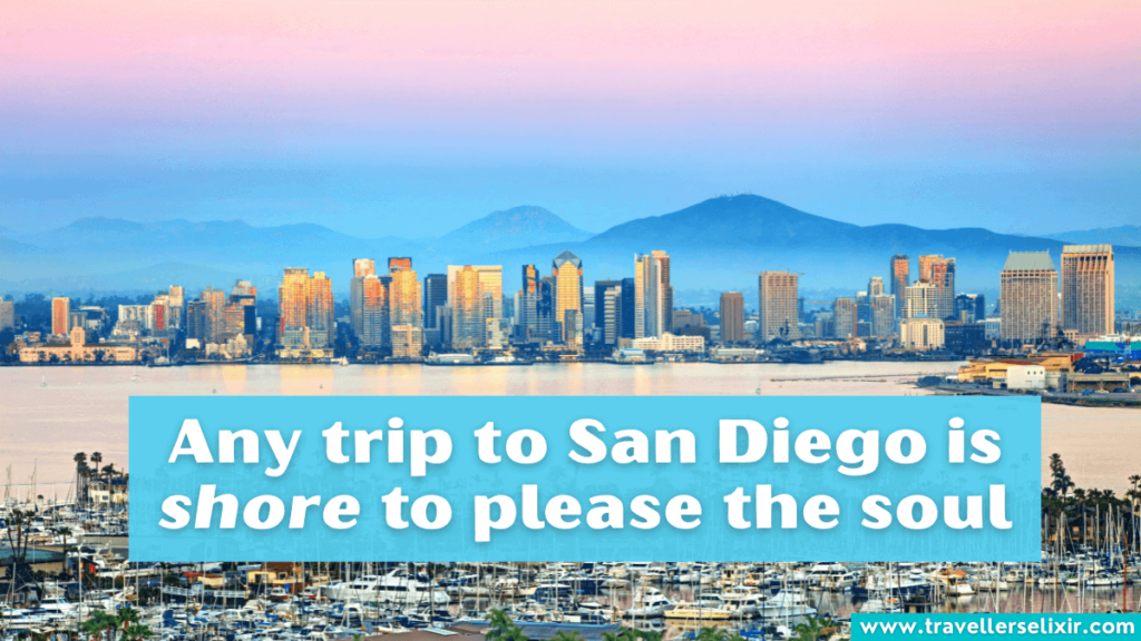 Funny San Diego pun - Any trip to San Diego is shore to please the soul.