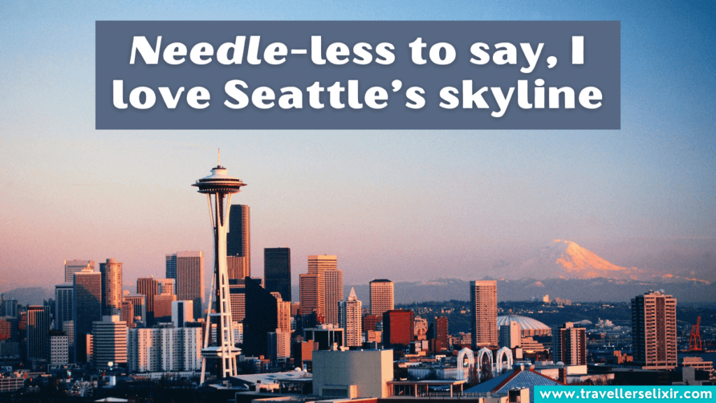 Funny Seattle pun - Needle-less to say, I love Seattle’s skyline.