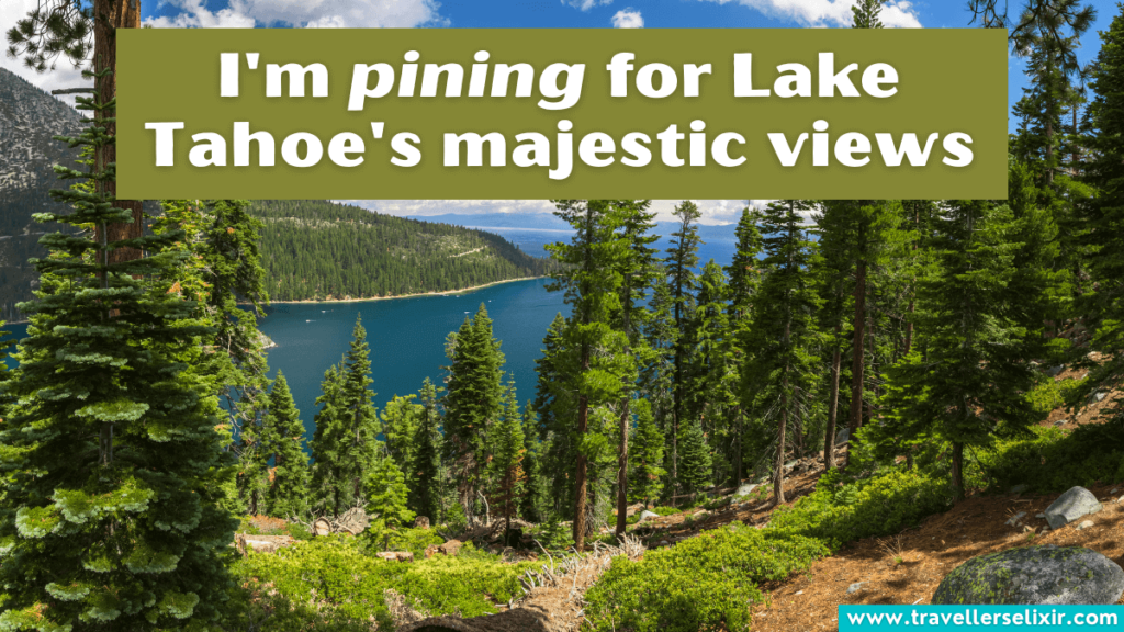 Funny Lake Tahoe Instagram caption - I'm pining for Lake Tahoe's majestic views.