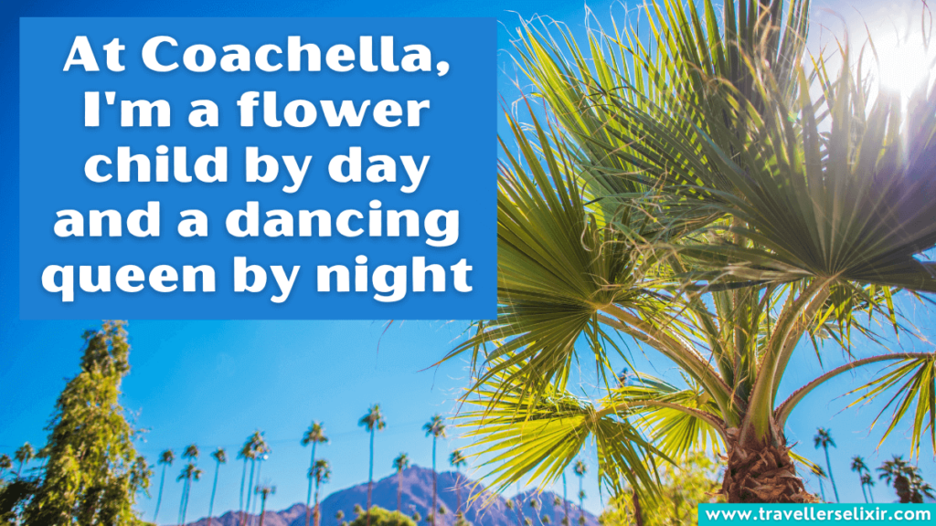 Cute Coachella Instagram caption - At Coachella, I'm a flower child by day and a dancing queen by night.