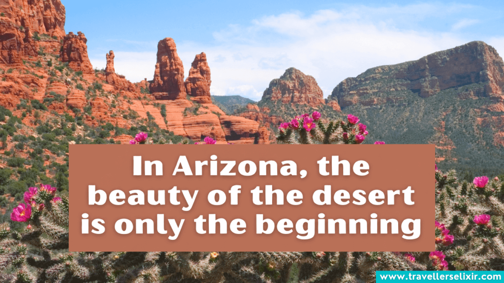 Cute Arizona caption for Instagram - In Arizona, the beauty of the desert is only the beginning.