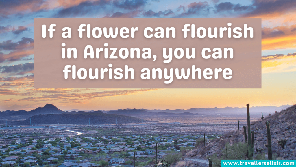Beautiful Arizona Instagram caption - If a flower can flourish in Arizona, you can flourish anywhere.