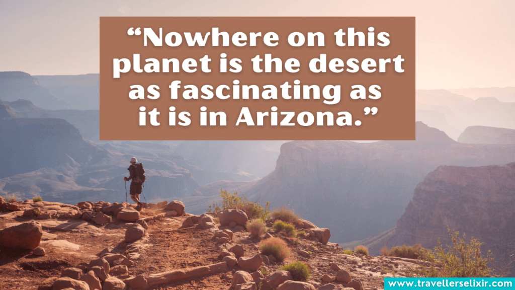 Arizona quote - “Nowhere on this planet is the desert as fascinating as 
it is in Arizona.”