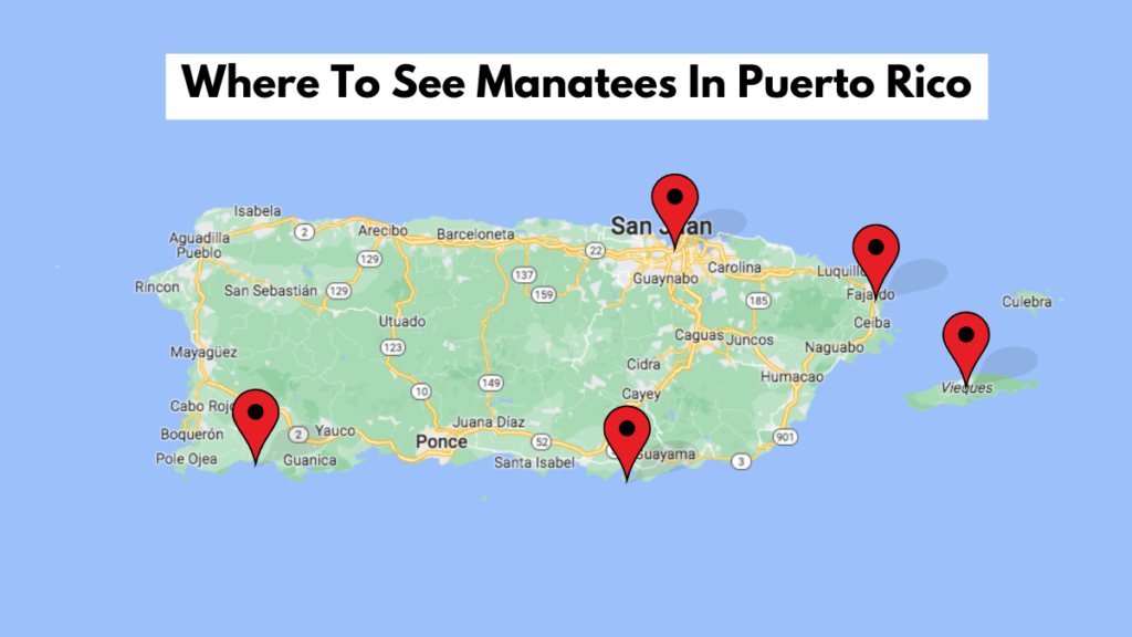 Map showing locations on manatees in Puerto Rico.