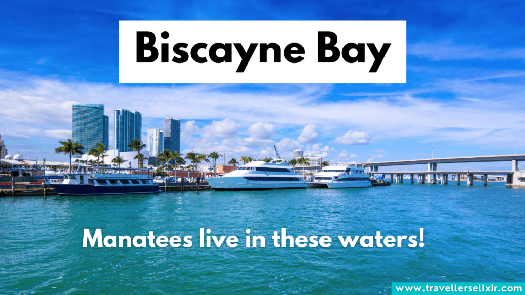 Biscayne Bay