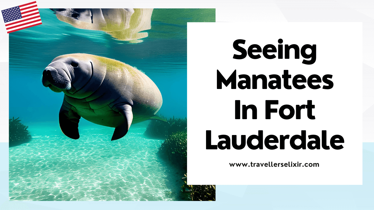 Where to see manatees in Fort Lauderdale - featured image