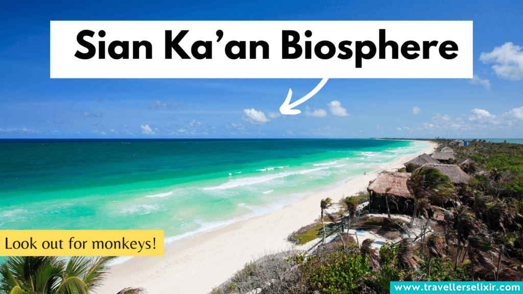Sian Ka'an Biosphere.