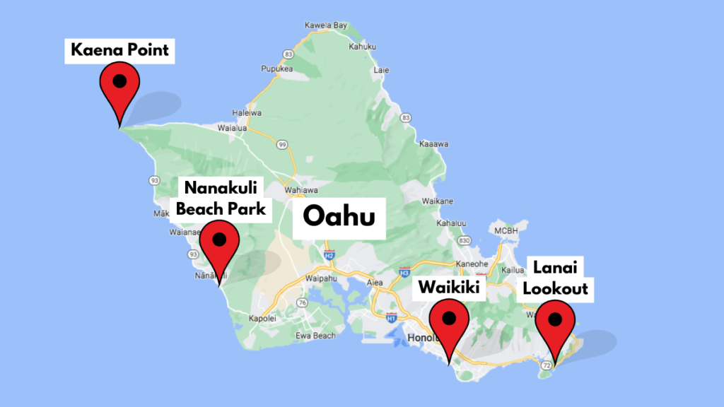 Map showing where to see seals in Oahu.