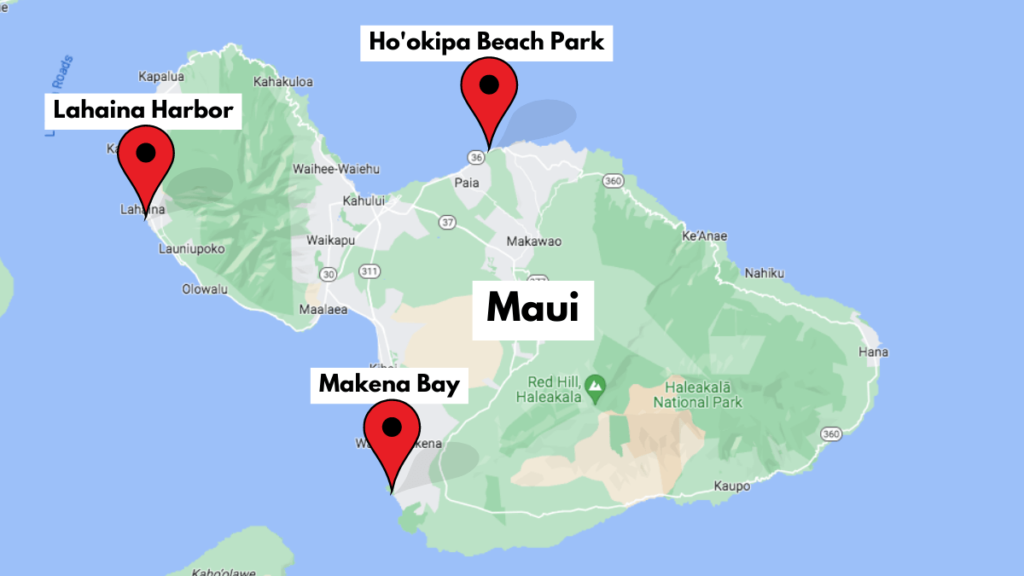 Map showing where to see seals in Maui.