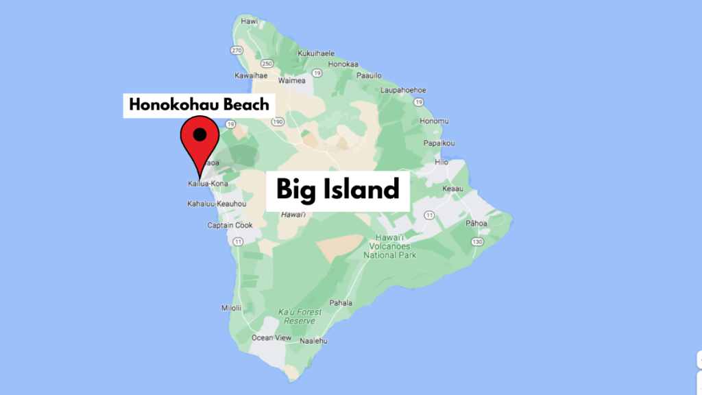 Map showing where to see seals on Big Island.