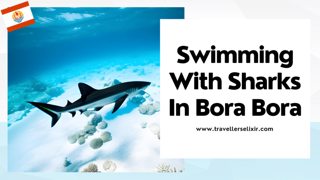 Swimming with sharks in Bora Bora - featured image