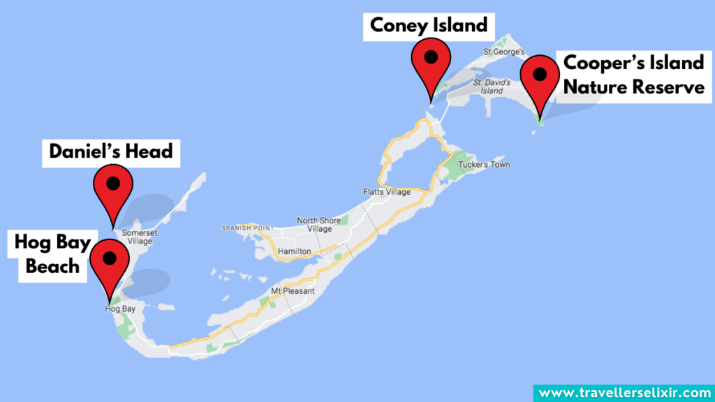 Map of Bermuda showing where to see turtles.