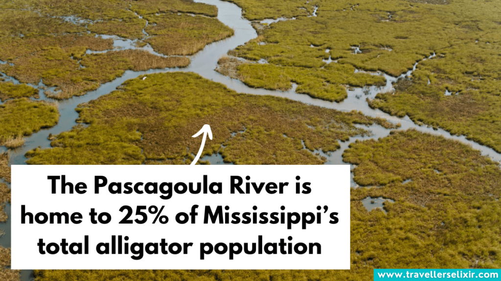 Pascagoula River in Mississippi