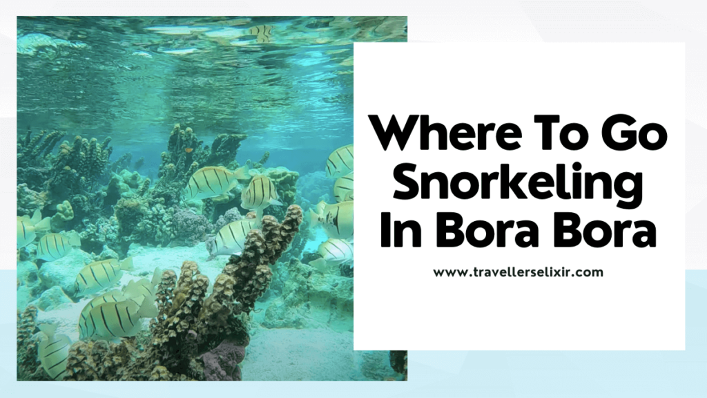 best snorkeling in Bora Bora - featured image
