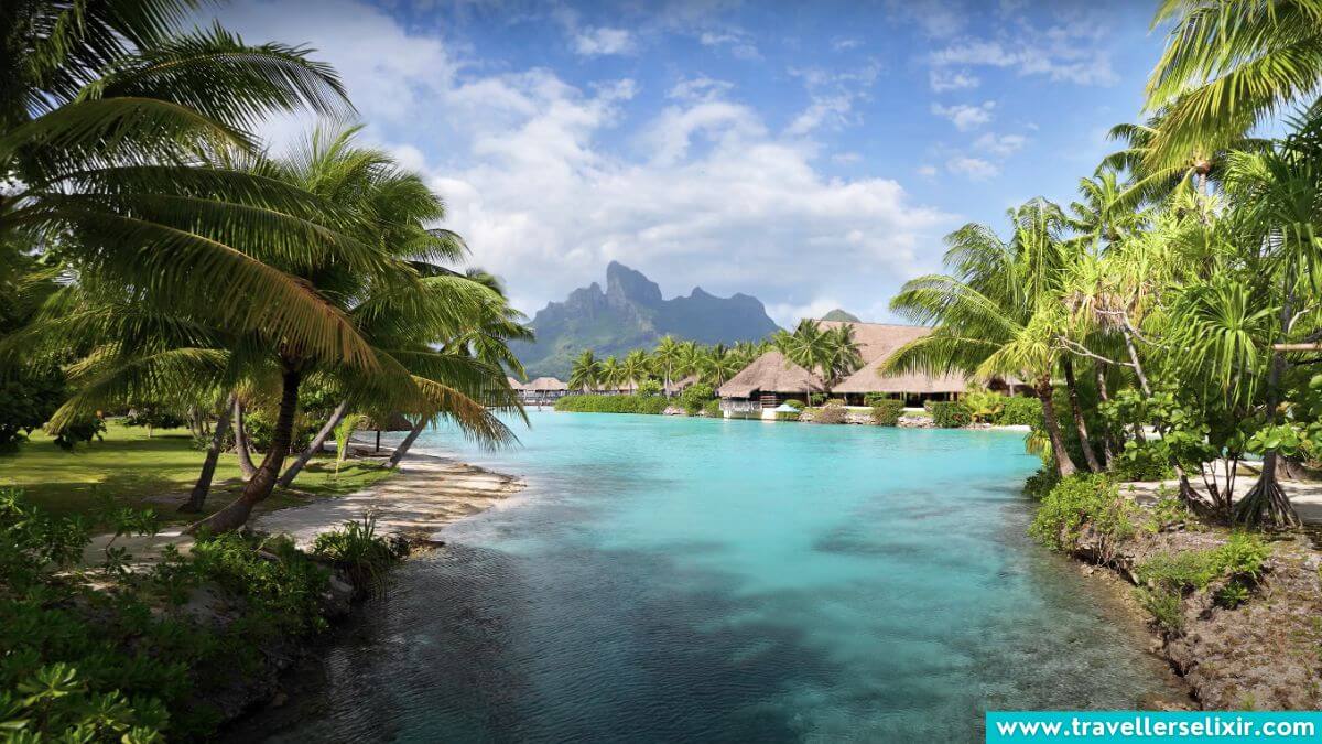 Best Snorkeling In Bora Bora Ultimate Guide To Snorkeling In Bora Bora