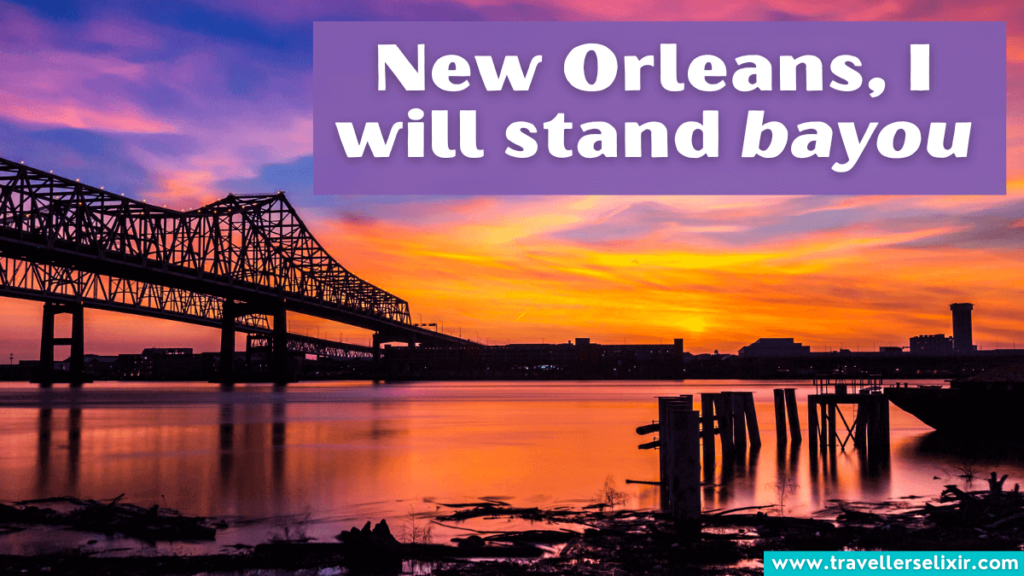Funny New Orleans pun - New Orleans, I will stand bayou