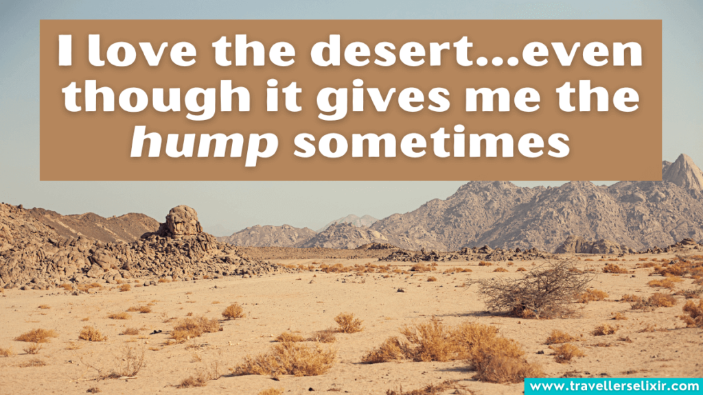 Funny desert pun - I love the desert...even though it gives me the hump sometimes