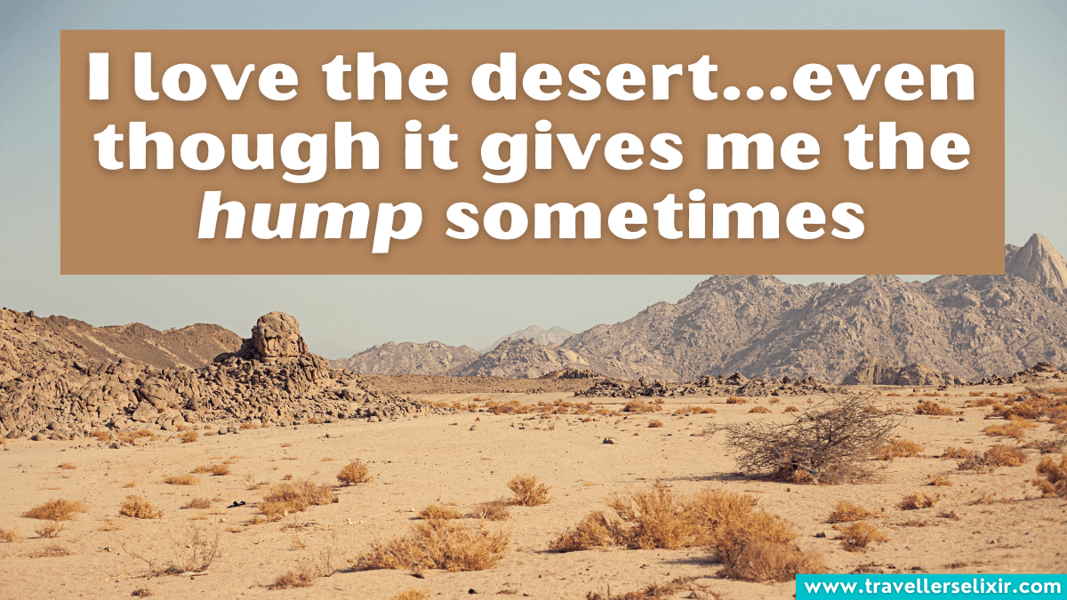 121 Desert Captions For Instagram - Puns, Quotes & Short Captions