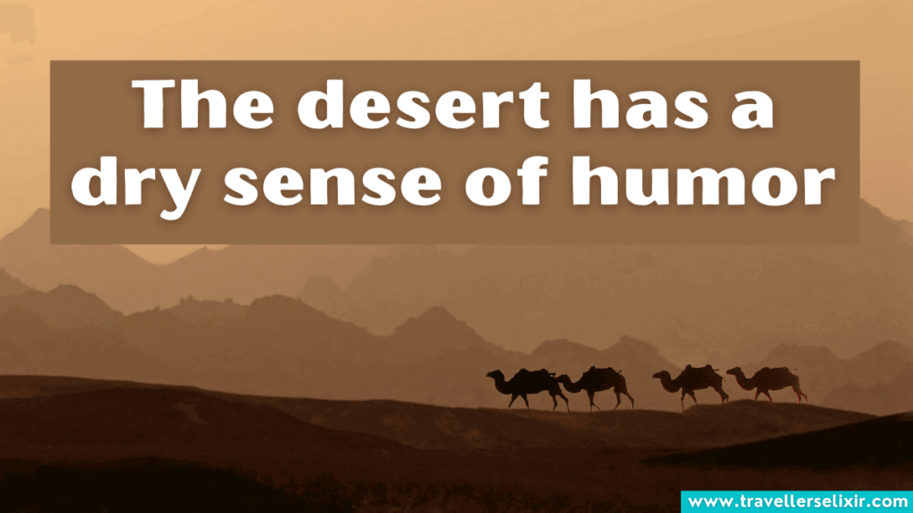 Funny desert Instagram caption - The desert has a dry sense of humor