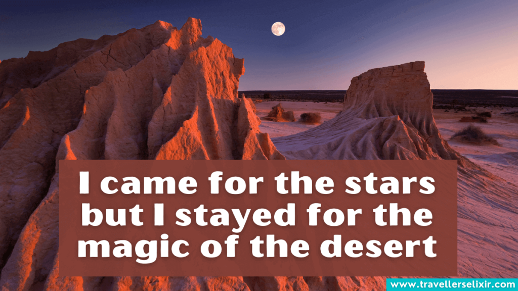 Beautiful desert caption for Instagram - I came for the stars but I stayed for the magic of the desert