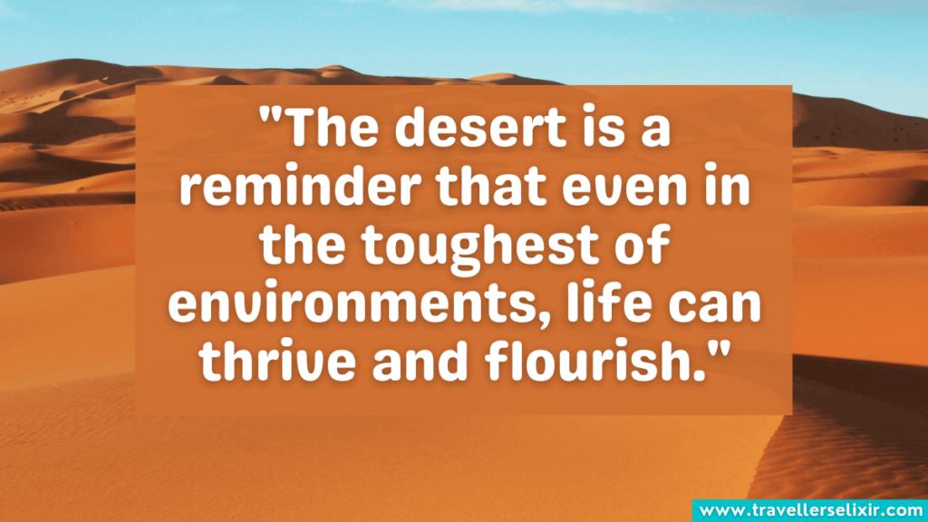 Quote about the desert - "The desert is a reminder that even in the toughest of environments, life can thrive and flourish."