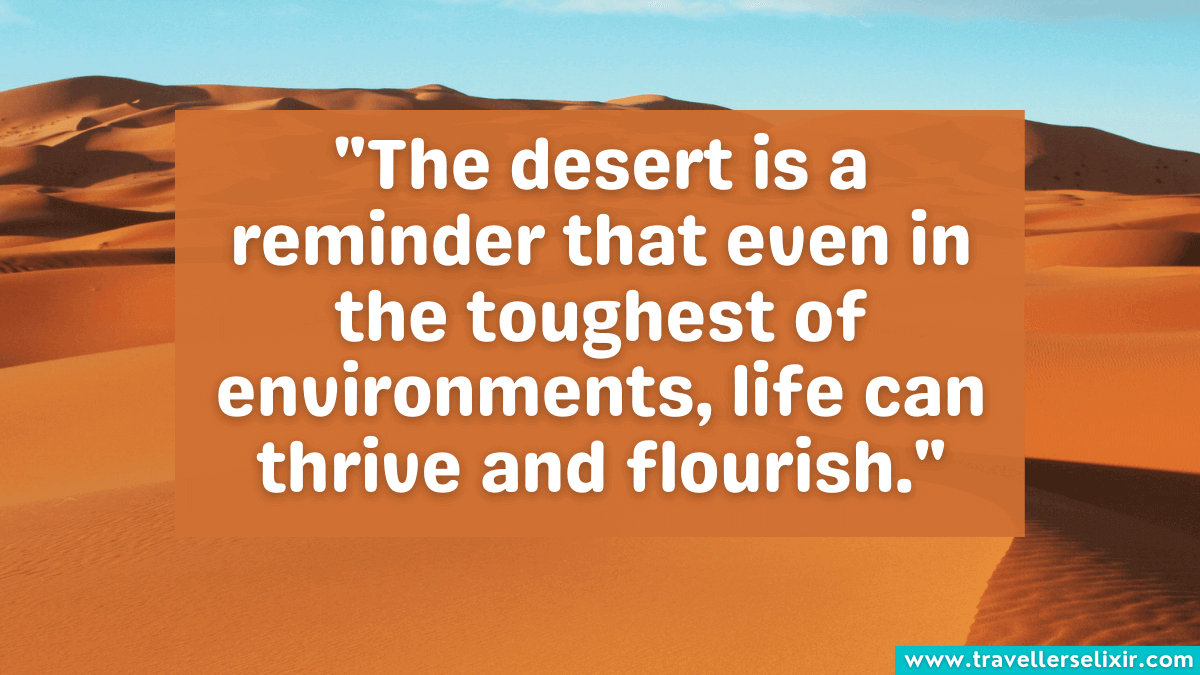 121 Desert Captions For Instagram - Puns, Quotes & Short Captions ...