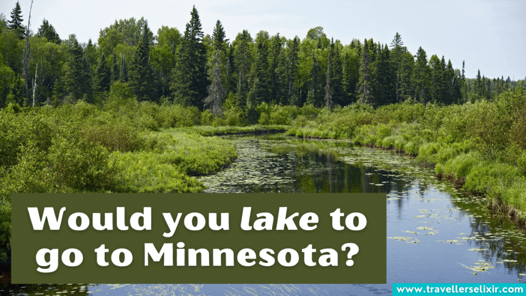 Funny Minnesota pun - Would you lake to go to Minnesota?