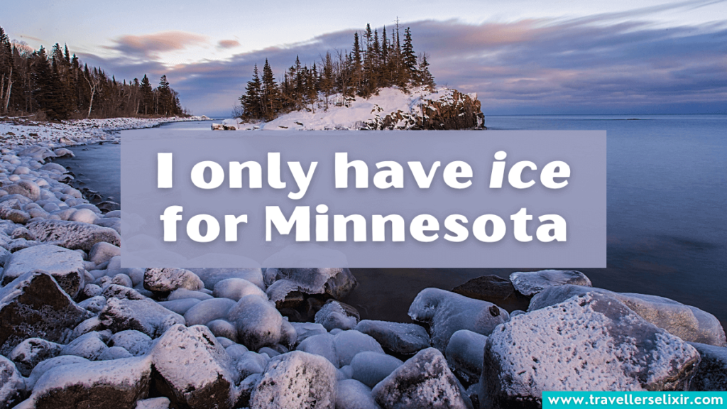 Funny Minnesota pun - I only have ice for Minnesota