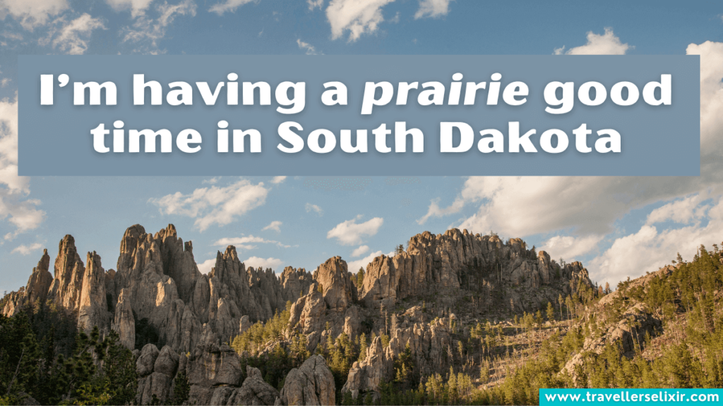 Funny South Dakota pun - I’m having a prairie good time in South Dakota
