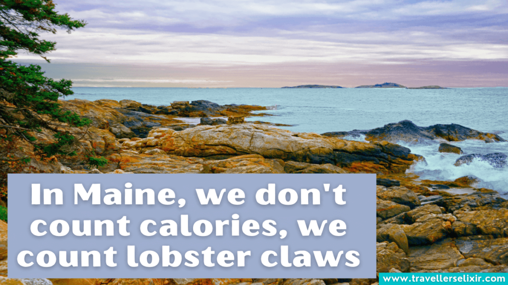 Cute Maine caption for Instagram - In Maine, we don't count calories, we count lobster claws
