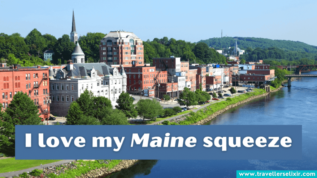 Funny Maine pun - I love my Maine squeeze