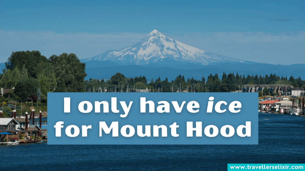 Funny Portland Oregon pun - I only have ice for Mount Hood