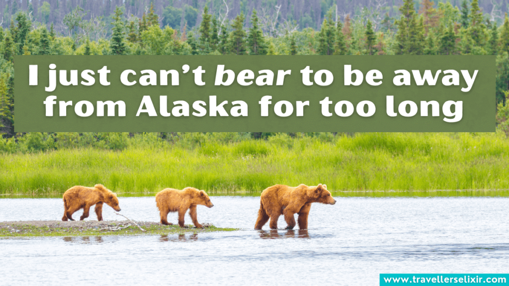 Funny Alaska pun - I just can’t bear to be away from Alaska for too long