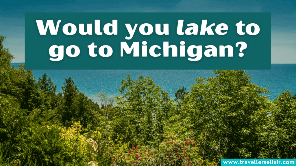 Funny Michigan pun - Would you lake to go to Michigan?