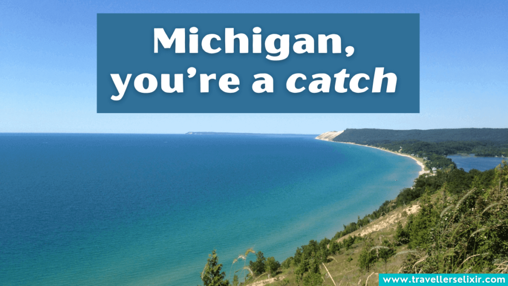 Funny Michigan pun - Michigan, you’re a catch