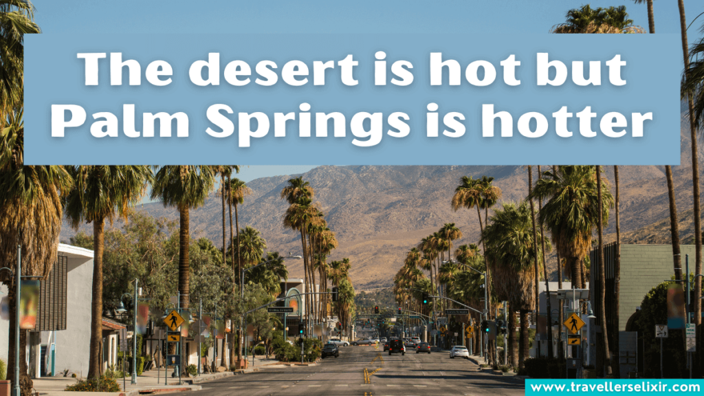 Funny Palm Springs Instagram caption - The desert is hot but Palm Springs is hotter