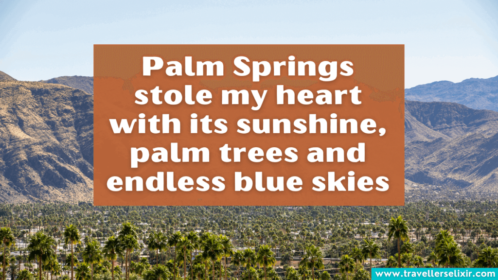 Beautiful Palm Springs caption for Instagram - Palm Springs stole my heart with its sunshine, palm trees and endless blue skies
