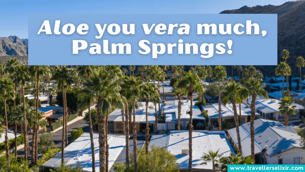 Funny Palm Springs pun - Aloe you vera much, Palm Springs!