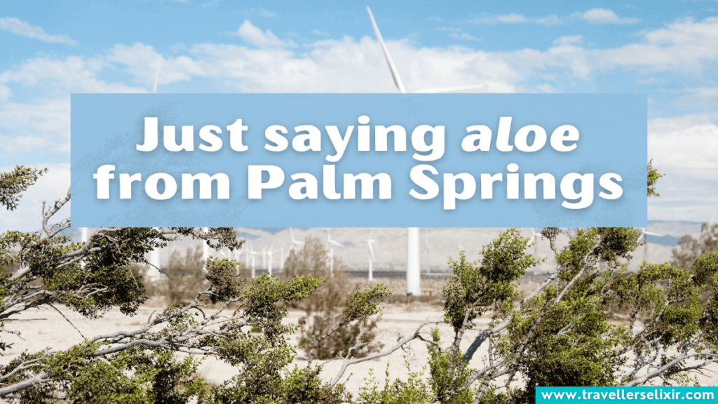 Funny Palm Springs pun - Just saying aloe from Palm Springs