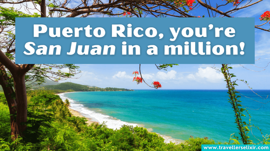 Funny Puerto Rico pun - Puerto Rico, you’re San Juan in a million!