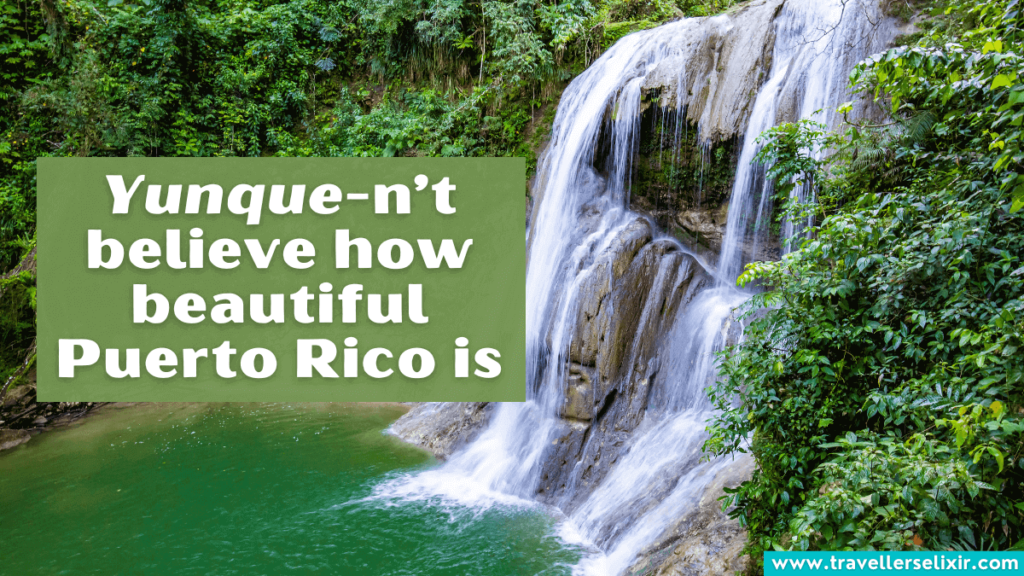 Funny Puerto Rico pun - Yunque-n’t believe how beautiful Puerto Rico is.