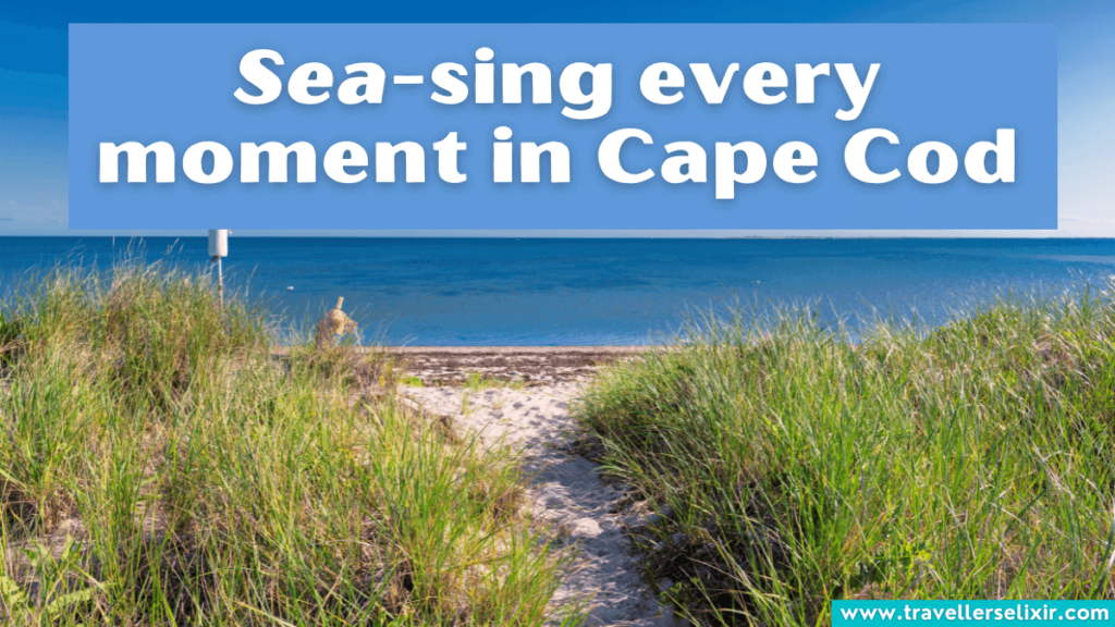 Funny Cape Cod Instagram caption - Sea-sing every moment in Cape Cod