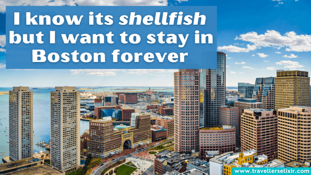Funny Boston pun - I know its shellfish but I want to stay in Boston forever