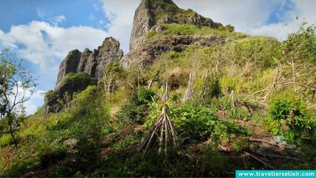 Part of the Mt Otemanu trail