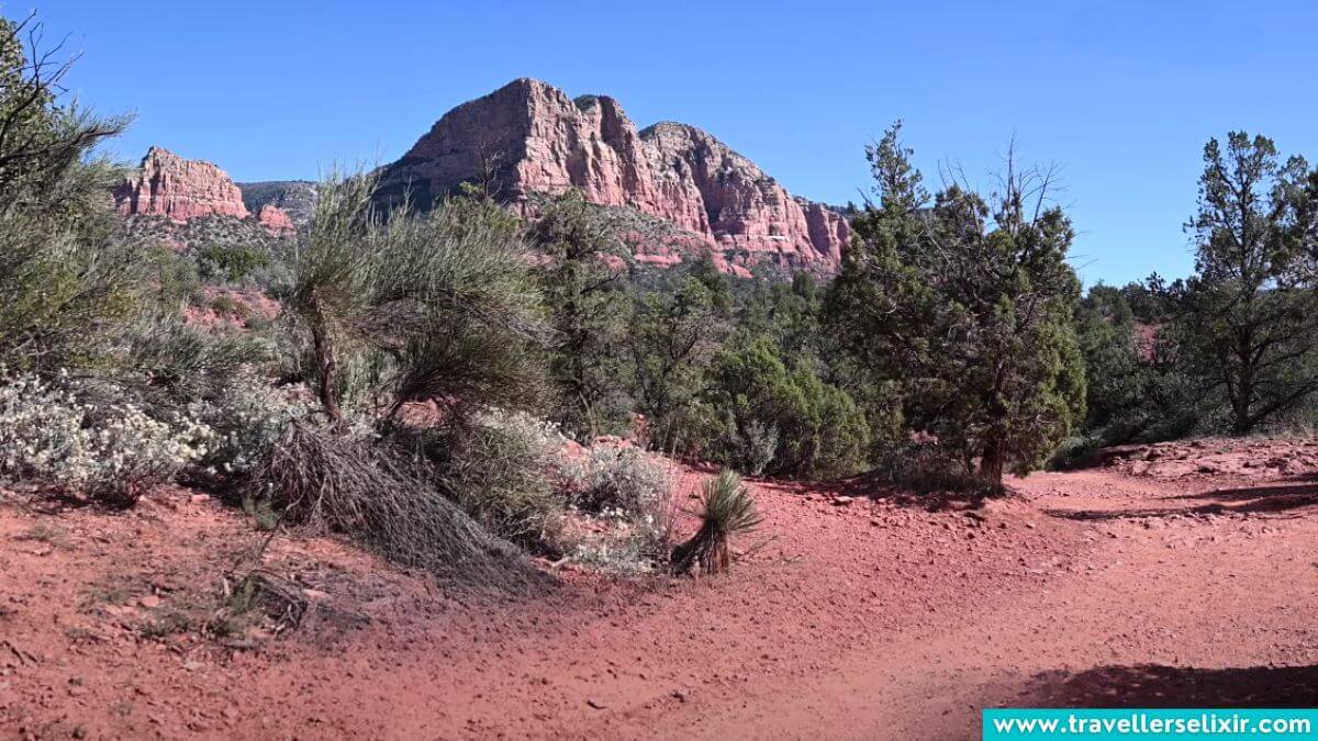 Sedona vs Flagstaff Which One Should You Visit?