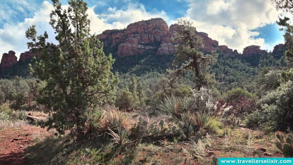 Sedona mountain scenery