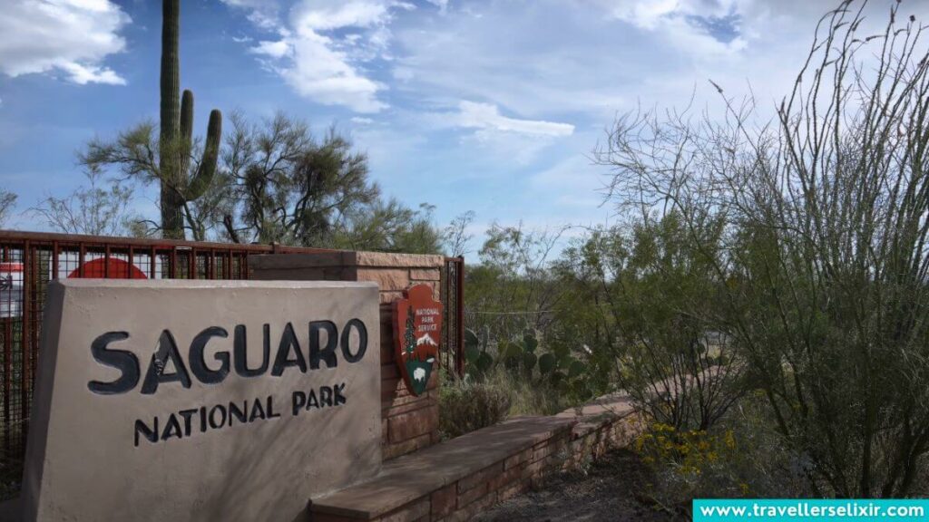 Saguaro National Park in Tucson