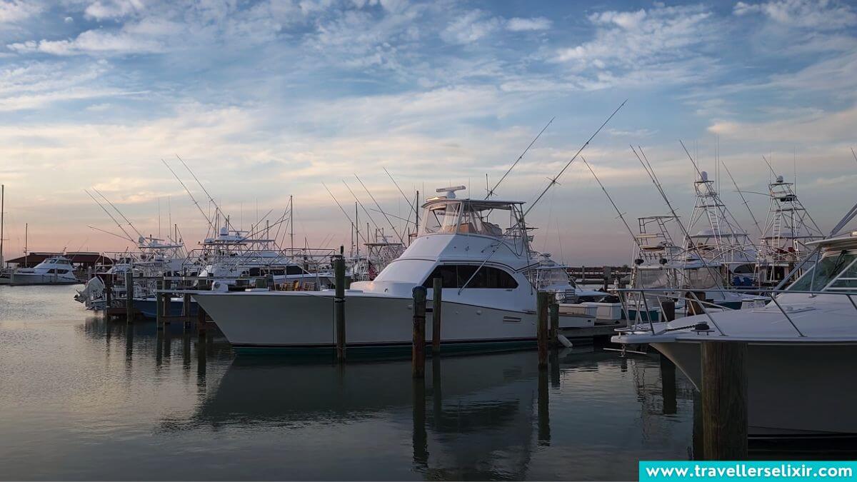 South Padre Island vs Port Aransas Which One Should You Visit?