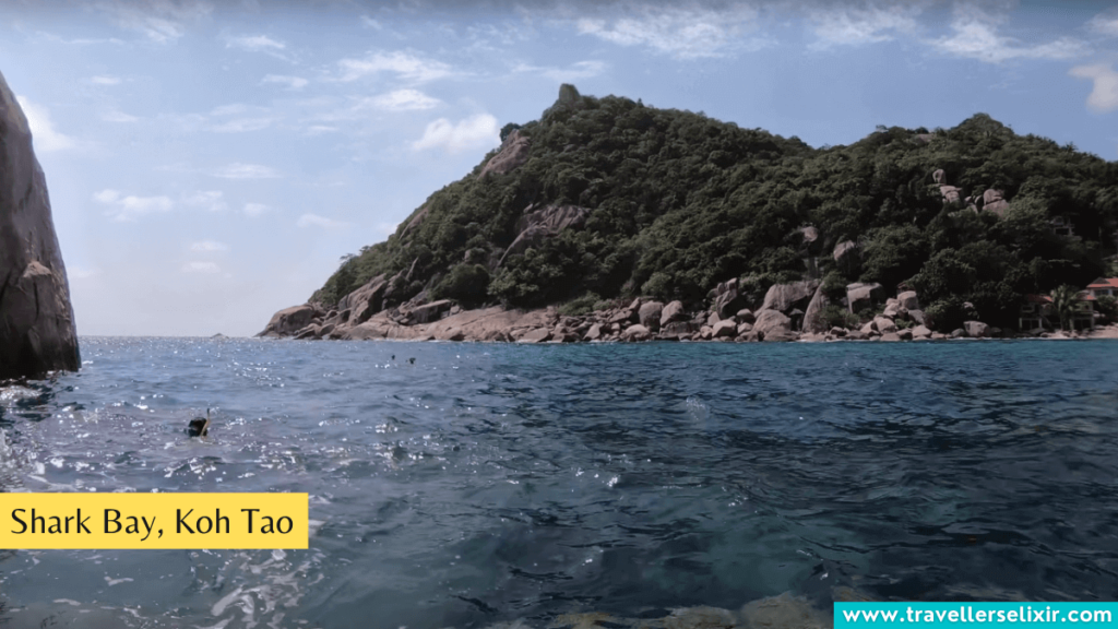 Shark Bay Koh Tao